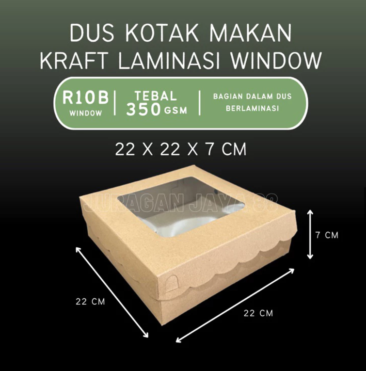 LUD R10B 350gr 22x22x7cm Renda Window Kraft Pak (10)