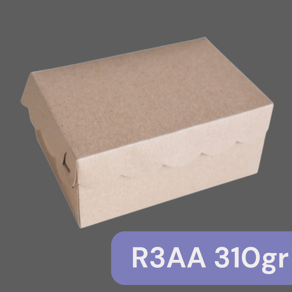 MIT R3AA 310gr 14.5x11x7cm Renda Kraft