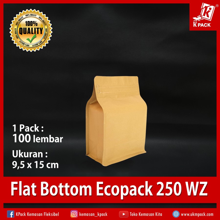 Kpack Flat Bottom Ecopack 250z 13x20cm Pak(100)