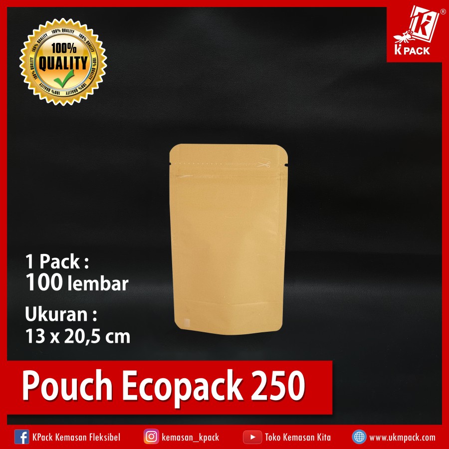 Kpack Pouch Ecopack 250z 13x20cm Kraft Pak(100)