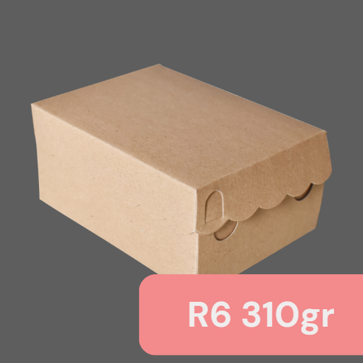 [MIT.KR6] MIT R6 310gr 15x15x6.5cm Renda Kraft